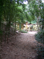 Sous la bambusaie